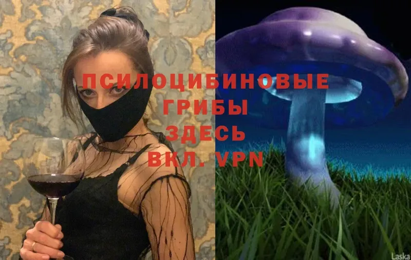 купить  цена  Завитинск  Галлюциногенные грибы Magic Shrooms 