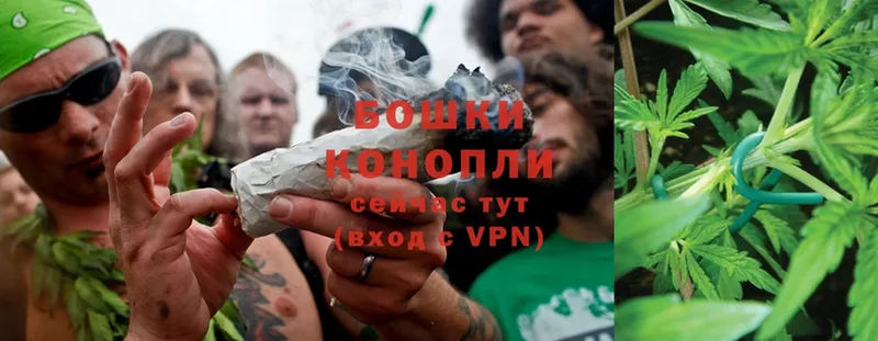 Бошки Шишки THC 21%  сколько стоит  Завитинск 